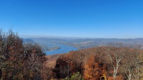 Lombhullató túra: Börzsöny-hegység – Kis körtúra a Duna fölött (Nagymaros- Hegyes-tető-Nagymaros)